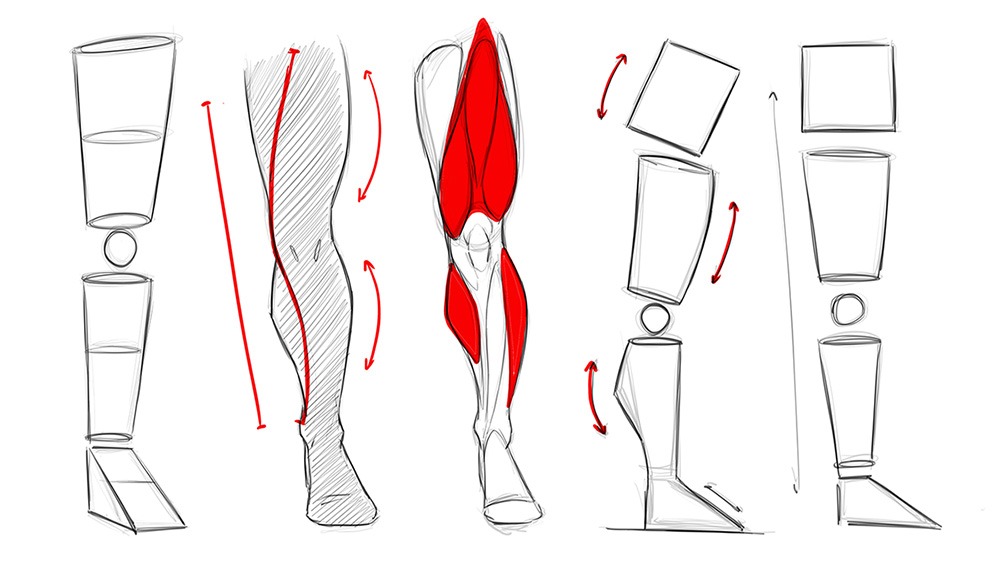 5 Tips on How to Draw Leg Anatomy Tutorial Ram Studios Comics