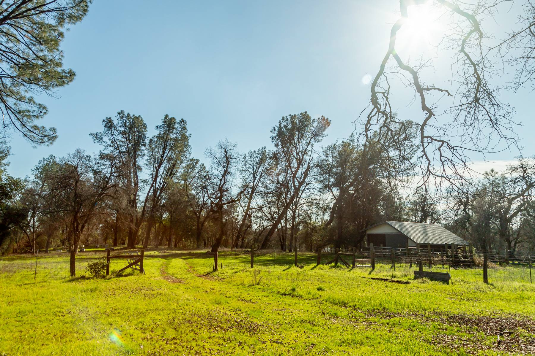 60 acres Moody Creek Redding, CA Shasta Land Services