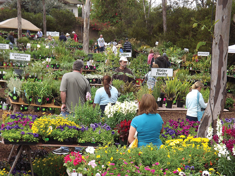 Fall Plant Sale Ranch & Coast Magazine