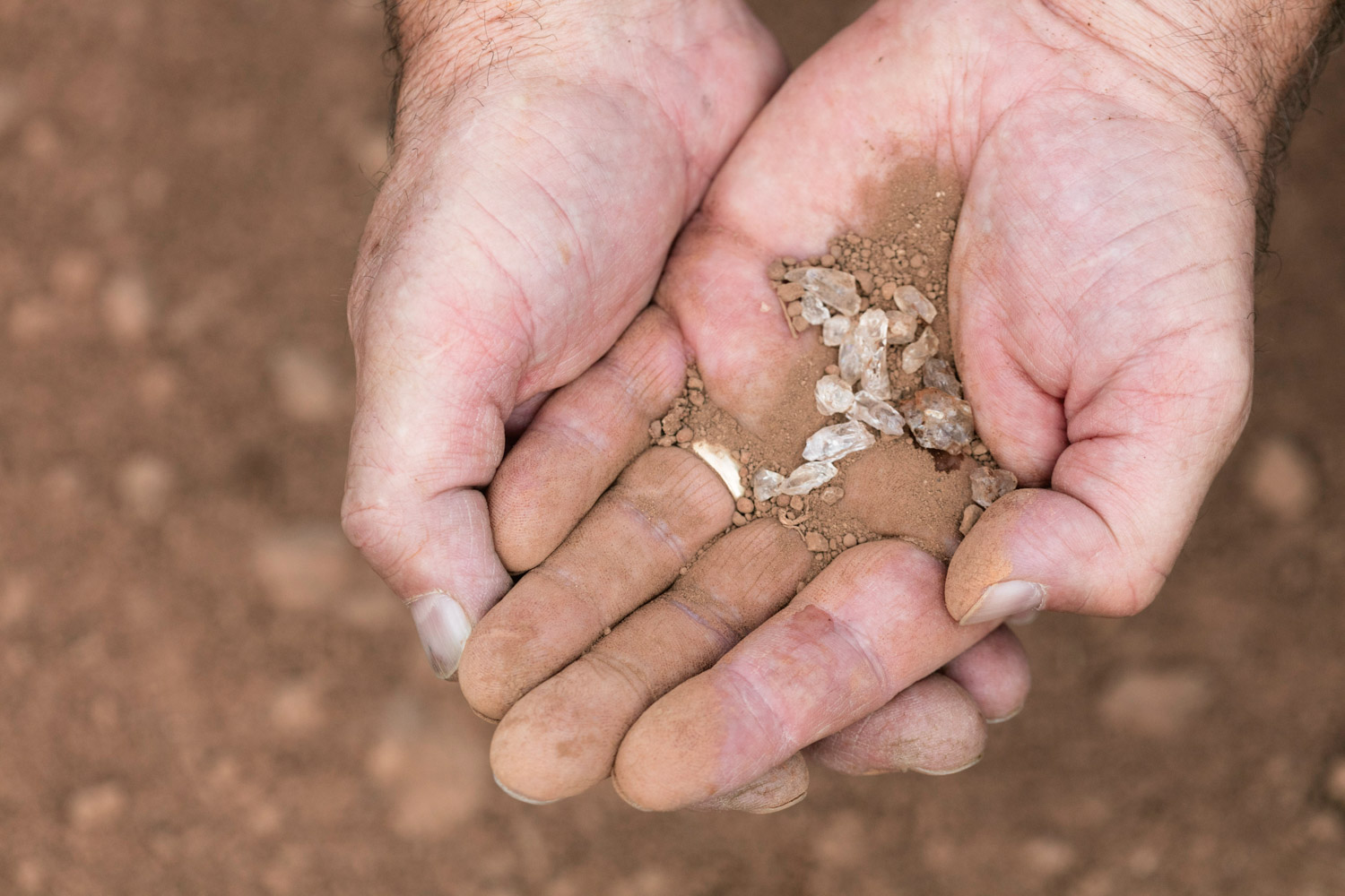 Gallery Diamond B Ranch