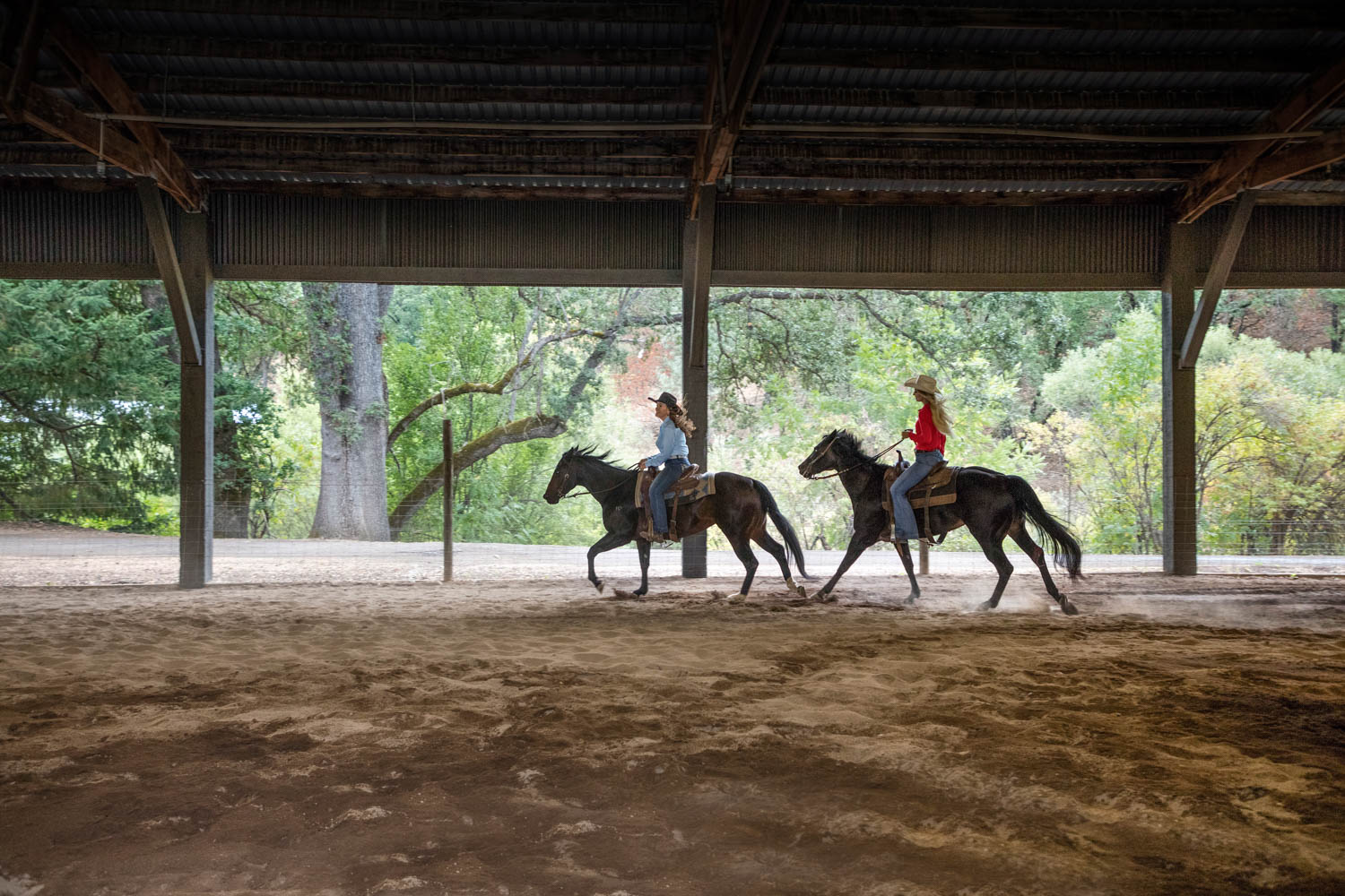 Diamond B Ranch Public Diamond B Ranch