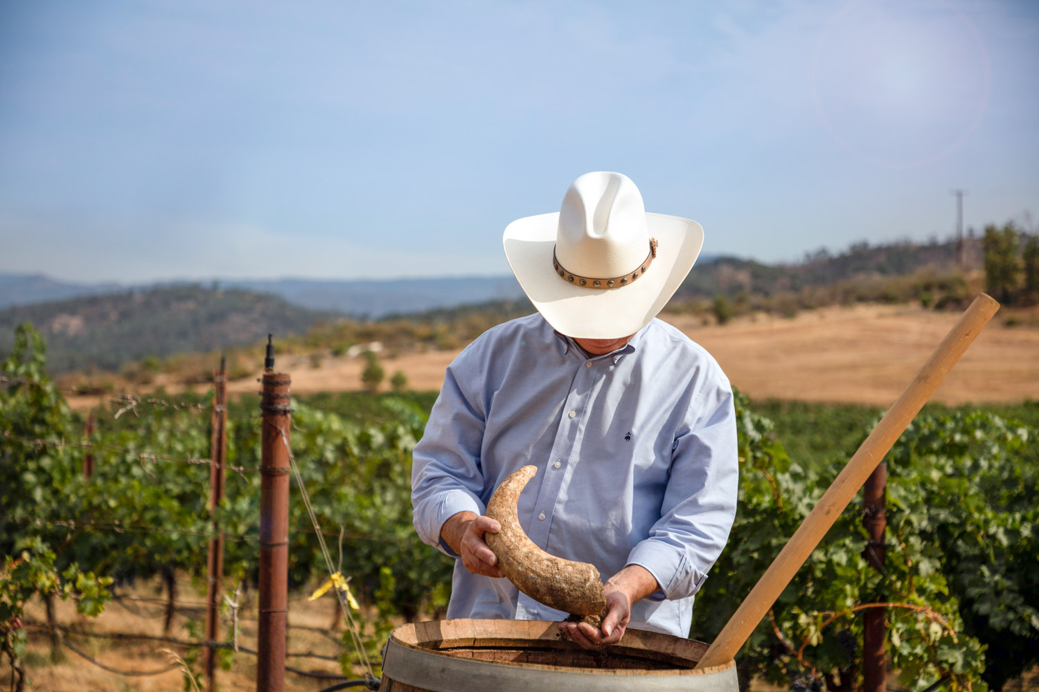 Diamond B Ranch Public Diamond B Ranch