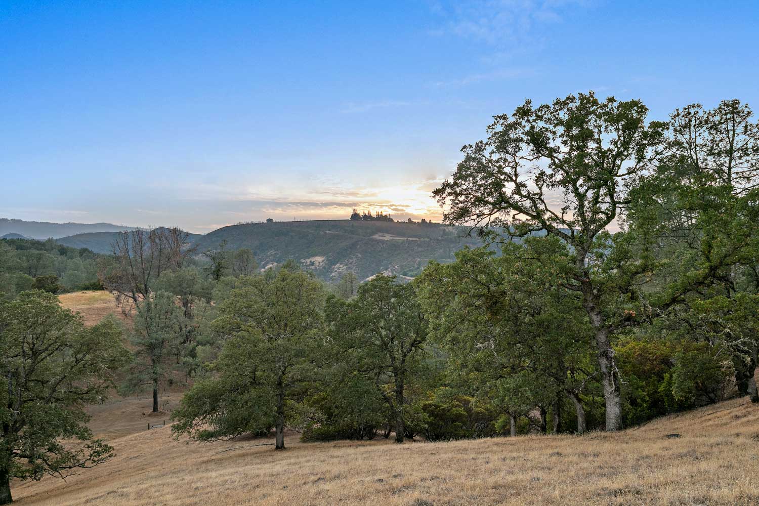 Gallery Diamond B Ranch