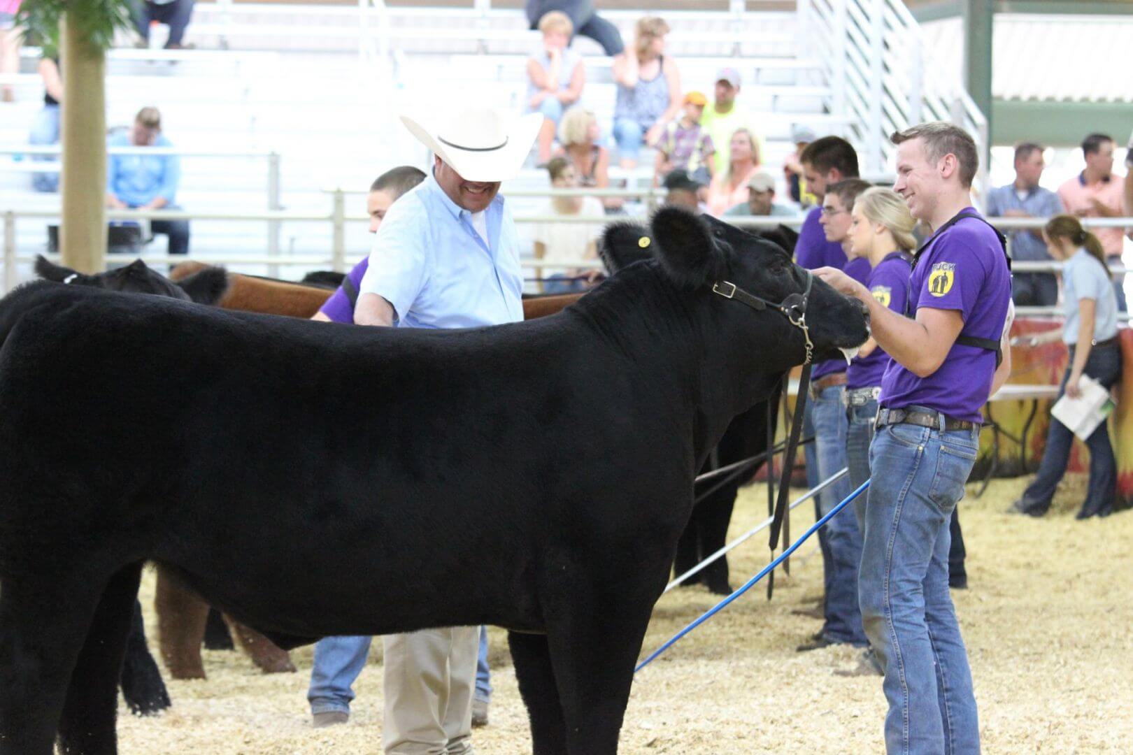 10 Reasons Showing Livestock is "Worth It" Ranch House Designs, Inc.