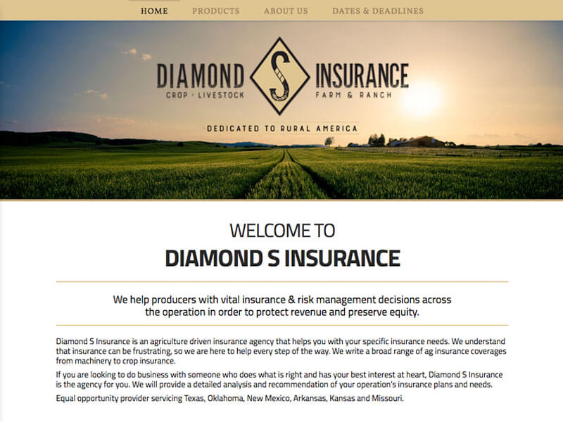 Diamond S Insurance Ranch House Designs, Inc.