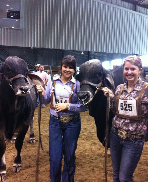 Cattle Showmanship Attire Ranch House Designs, Inc.
