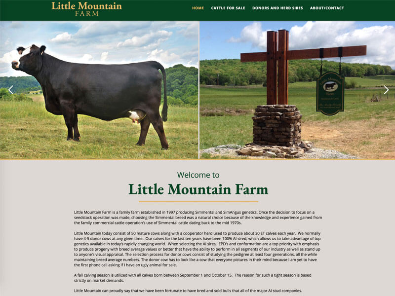 Simmental Farm  Design Ranch House Designs Little Mountain Farm