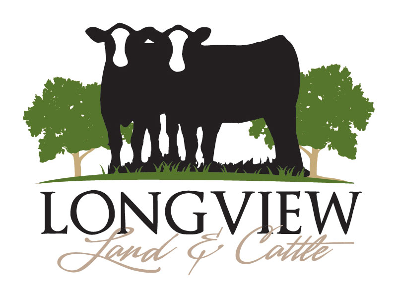 Cattle Logo Design Ranch House Designs Longview Land & Cattle