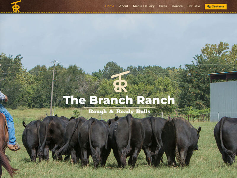 The Branch Ranch Ranch House Designs, Inc.