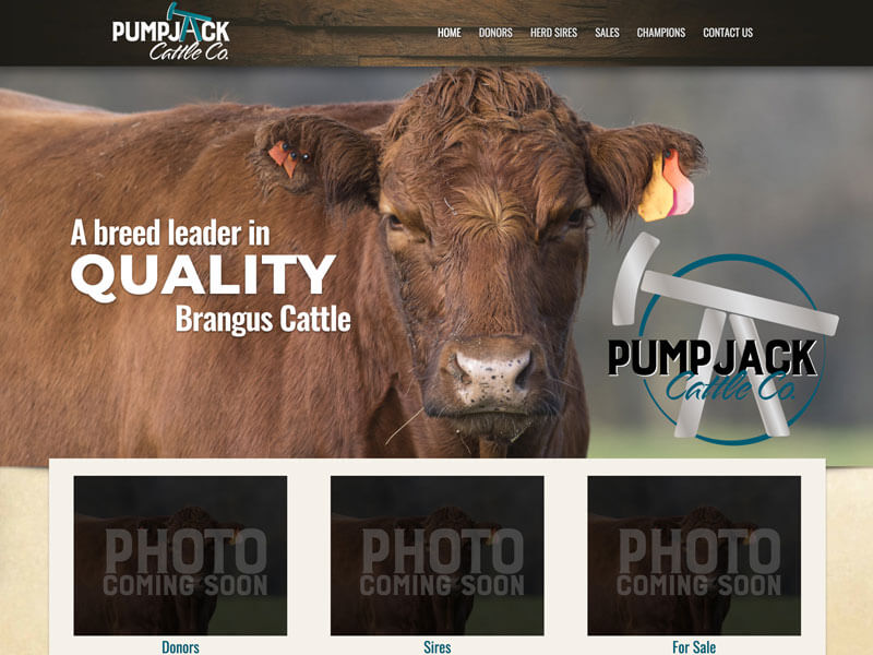 Brangus  Design Ranch House Designs Pump Jack Cattle