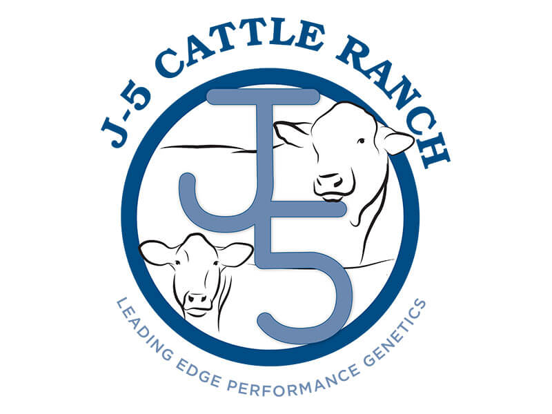 J5 Cattle Ranch Logo Design Ranch House Designs