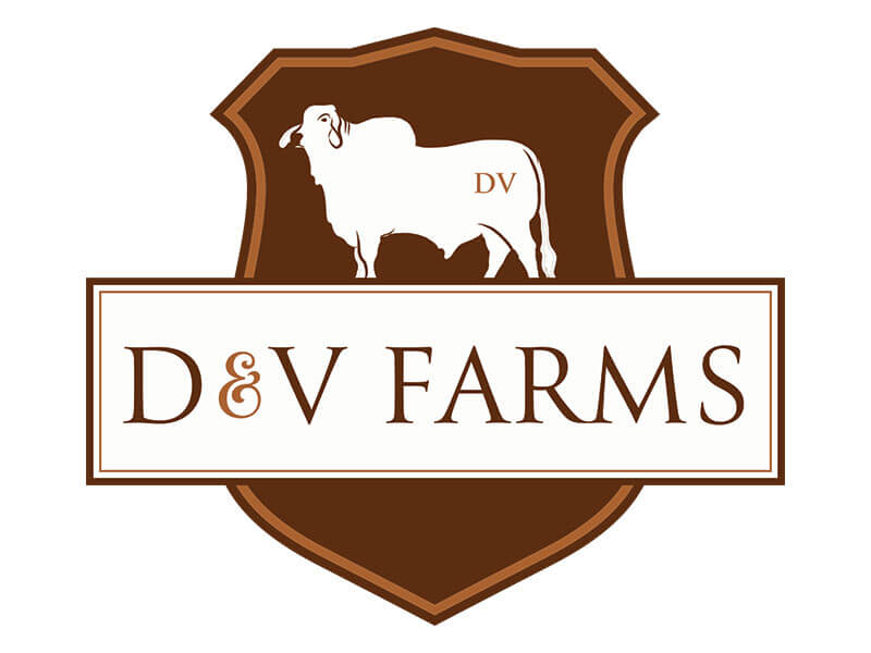 D&V Farms Logo Design Ranch House Designs, Inc.