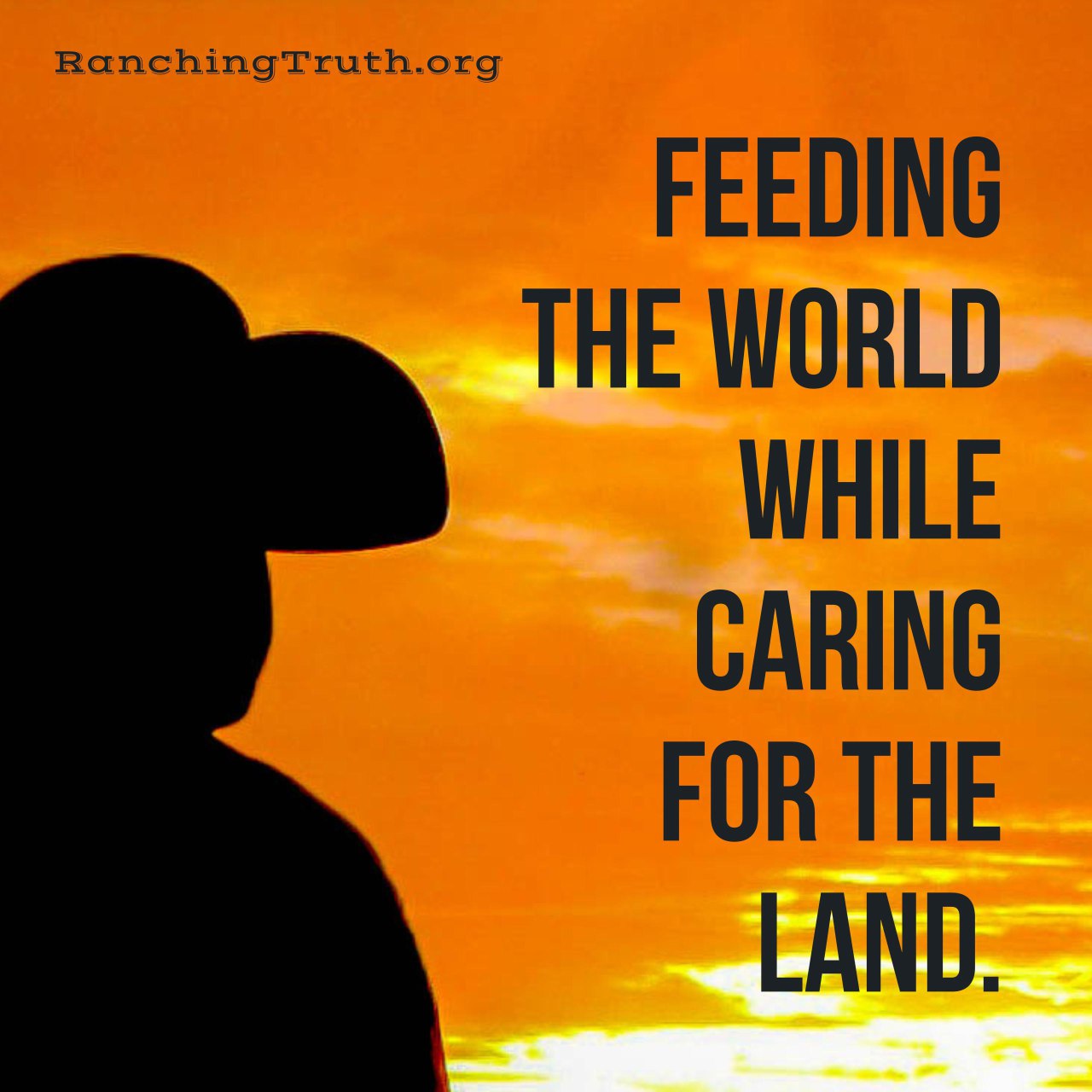 What is a Grazing Allotment Ranching Truth