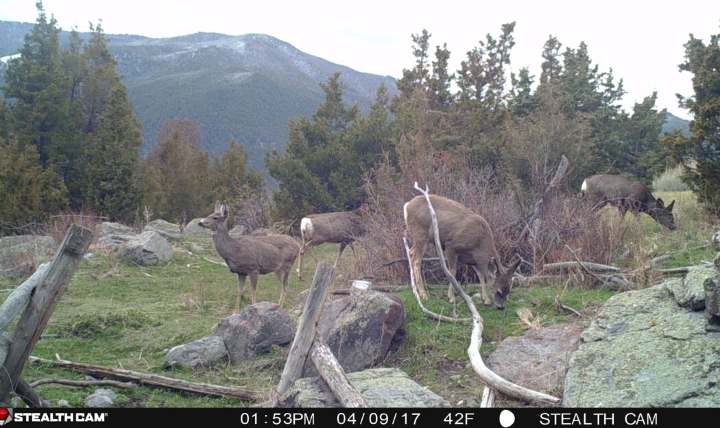 Montana Ranch Properties NHN Lower Valley Road