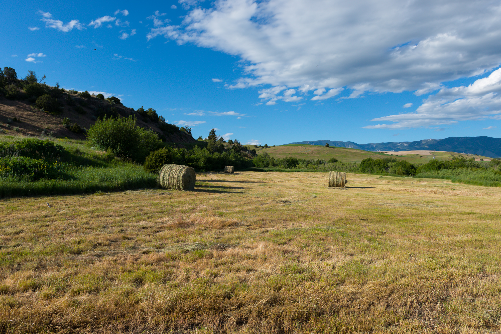 Montana Ranch Properties 301400_22