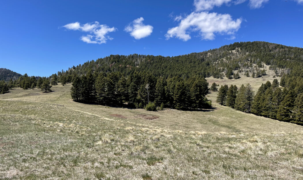 Montana Ranch Properties 145 Prewett Creek Lane