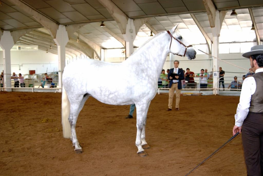 Nombrada Rancho El Marengo