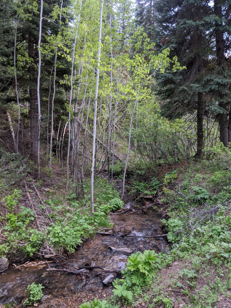 Elk River Valley Acreage Ranch & Resort Realty