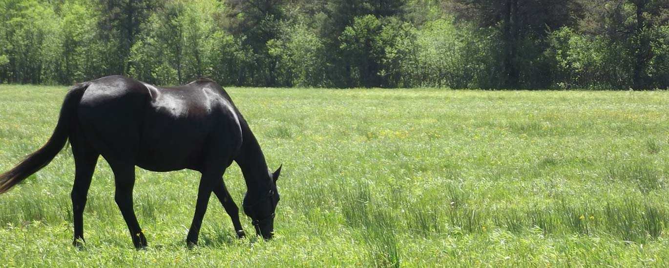 Ranch RudolfA Four Season Family ResortTraverse City, MI