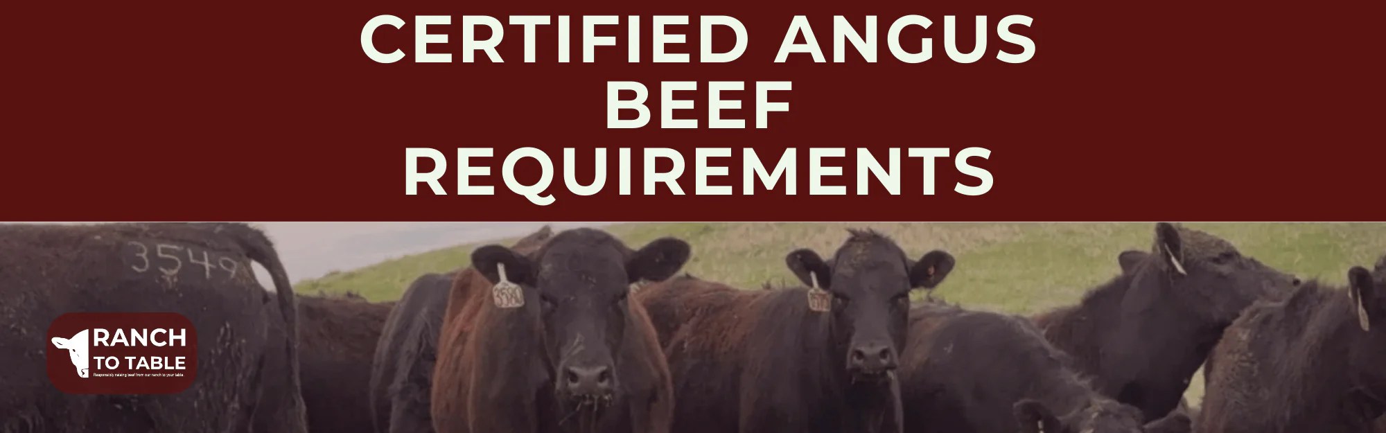 What Are the Certified Angus Beef Requirements? [Your Guide to Premium