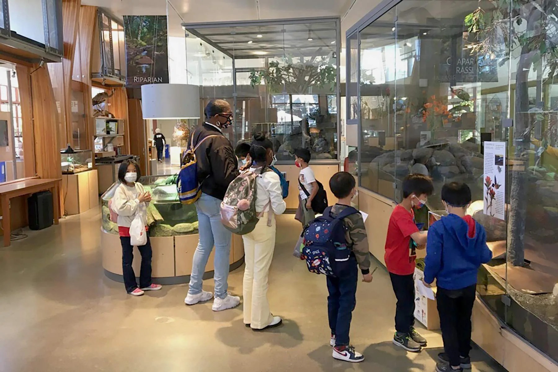 Randall Museum of Science, Nature and the Arts