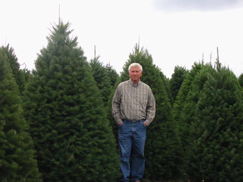 Bob Randall's Christmas Trees