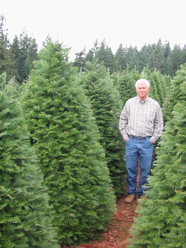 Bob Randall's Christmas Trees