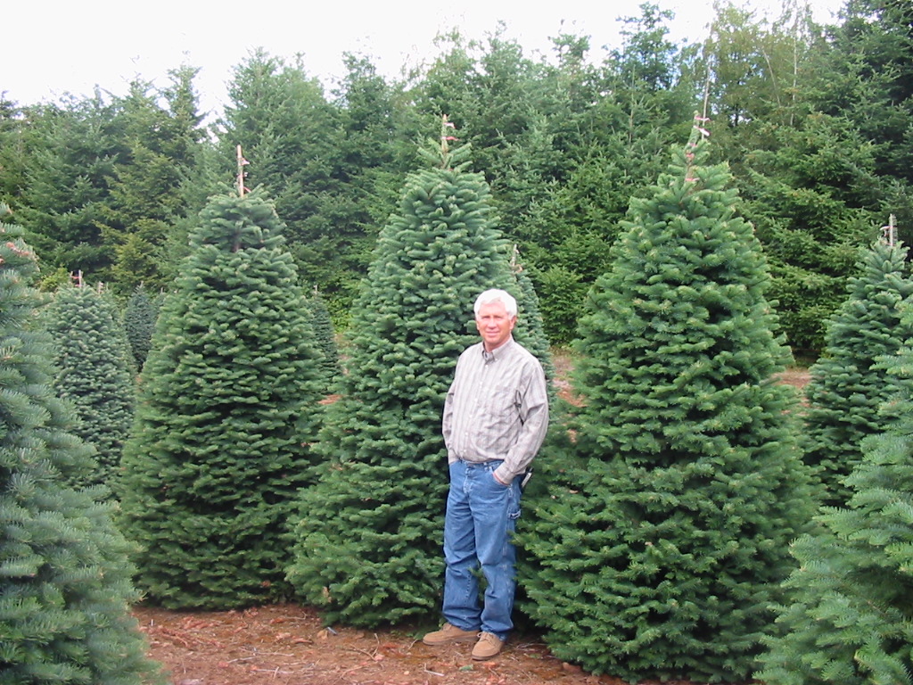 Bob Randall's Christmas Trees