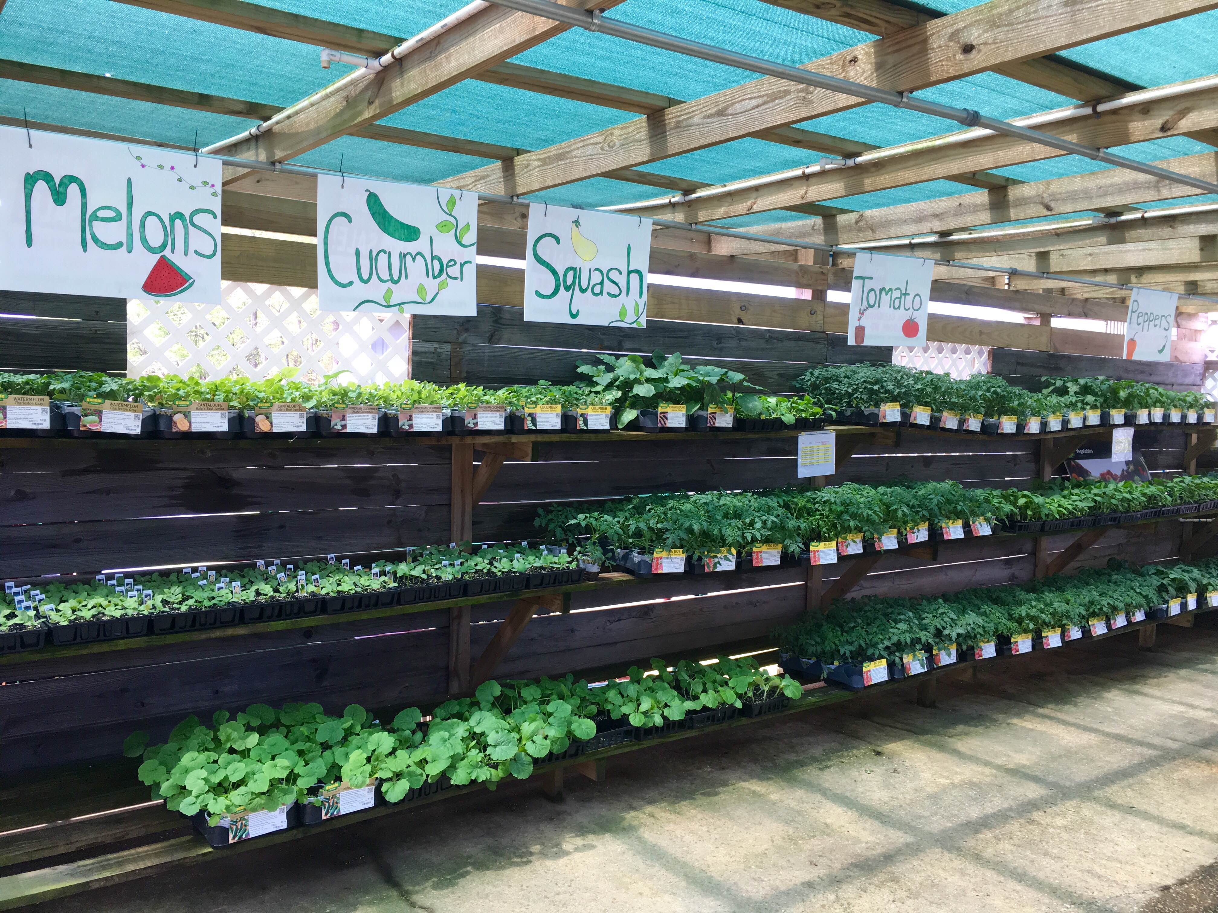 Nursery & Garden Center R & D Cross