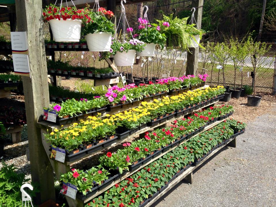 Upper Marlboro Gallery R & D Cross