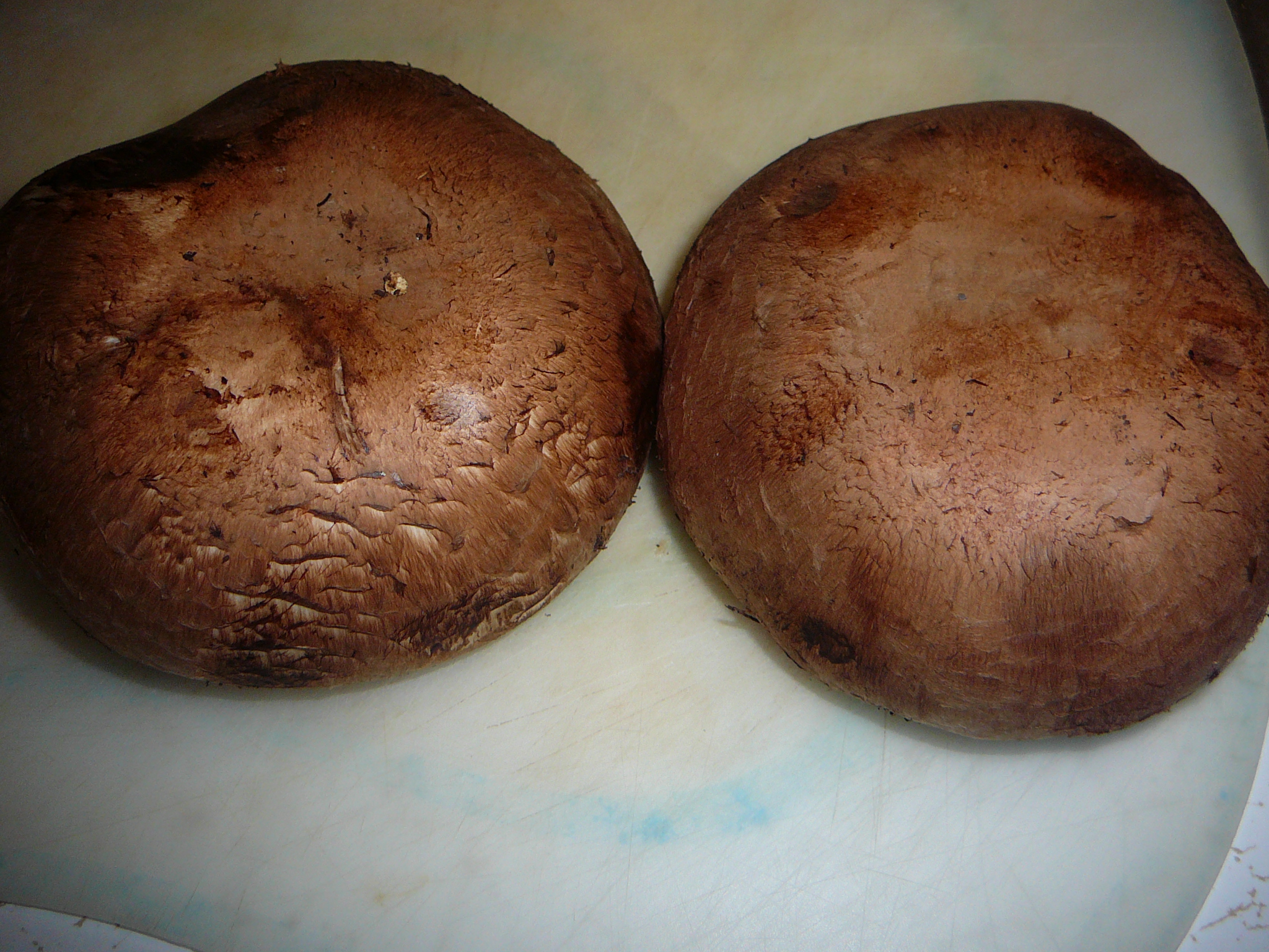 Portobello, Emmental, & English Cucumber on Rye with Homemade Dijonaise