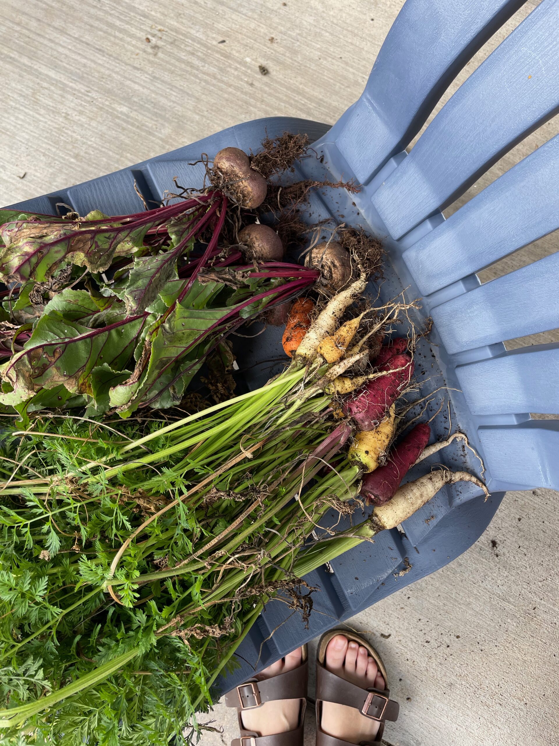 End of season vegetable garden recap · Randi with an i