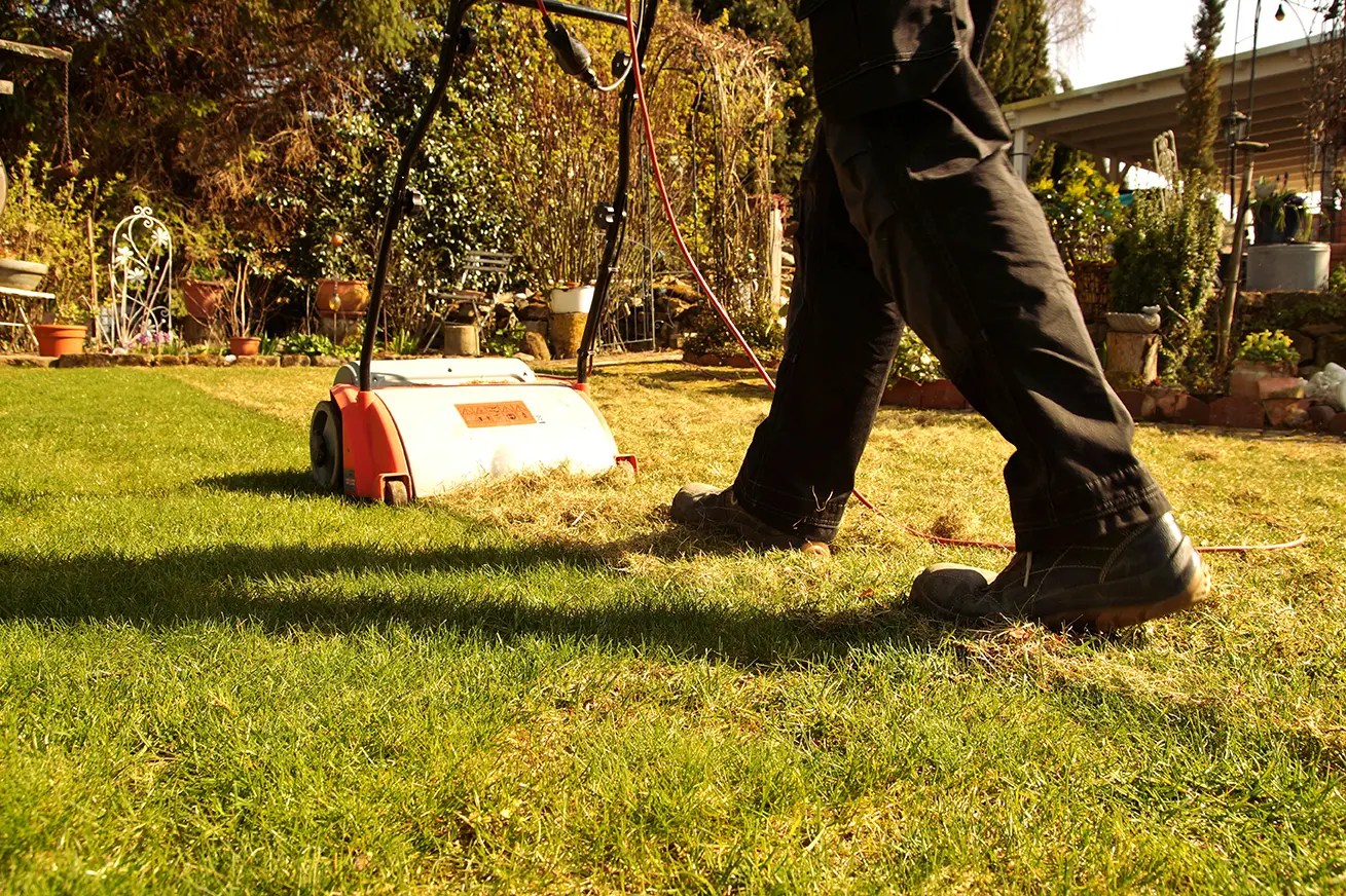 Spring Lawn Care Tips For Texas R&O Landscape Services Keller