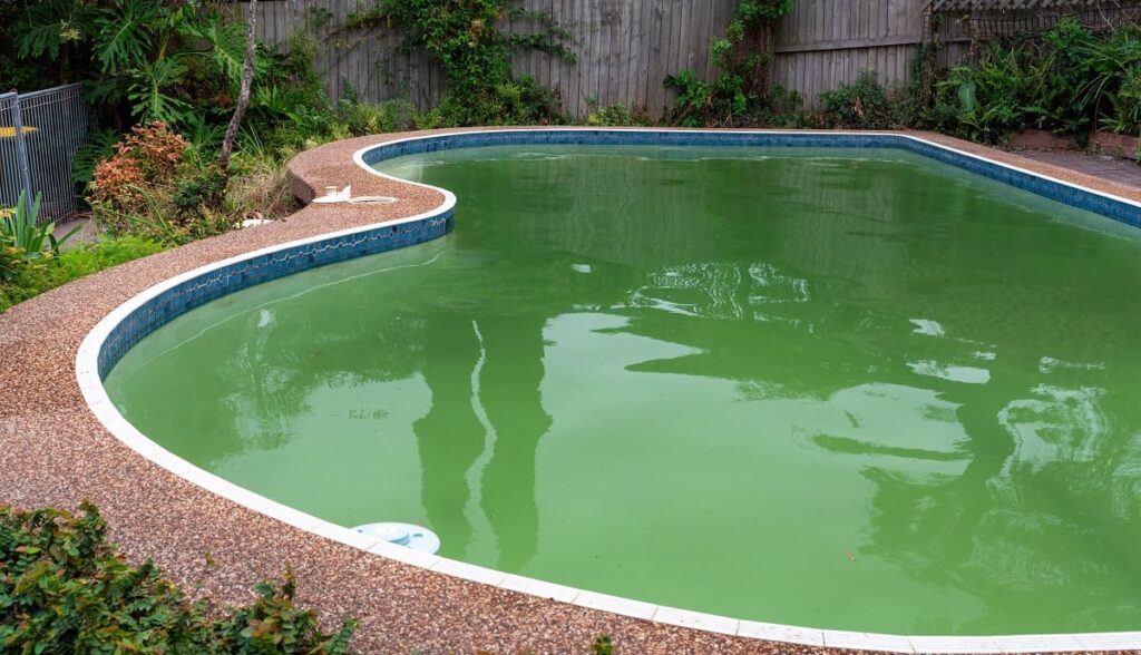 How to Get Rid of Green Algae in Pool Randol's Pool