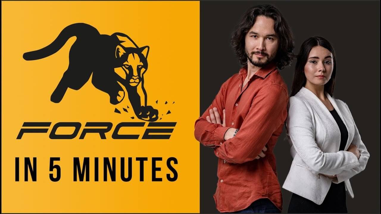 META FORCE, Forsage Comparison Old vs. New Random 26 Blogs