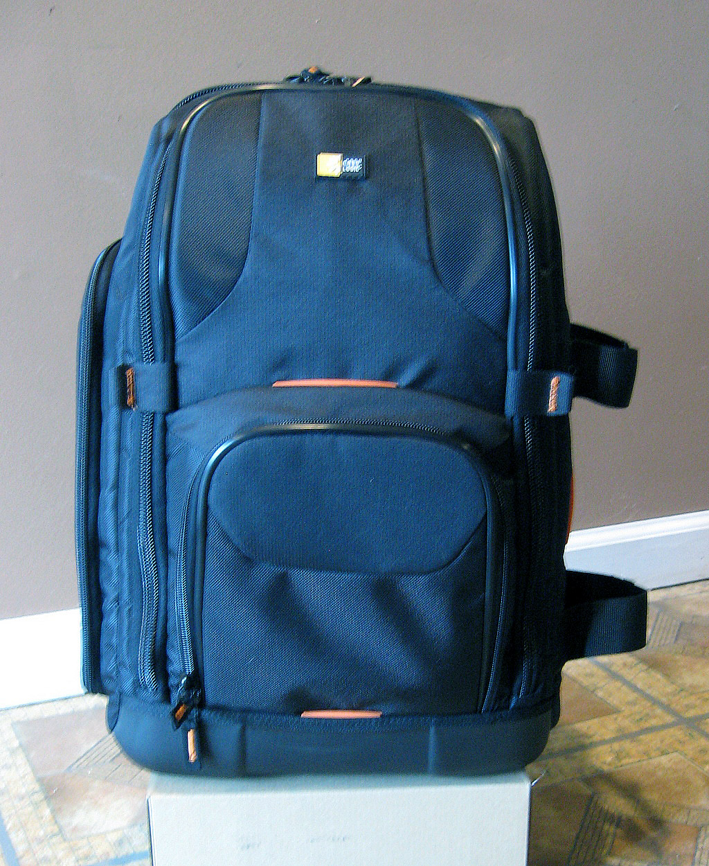 Review Case Logic SLRC206 SLR Camera (and 15.4Inch Laptop) Backpack