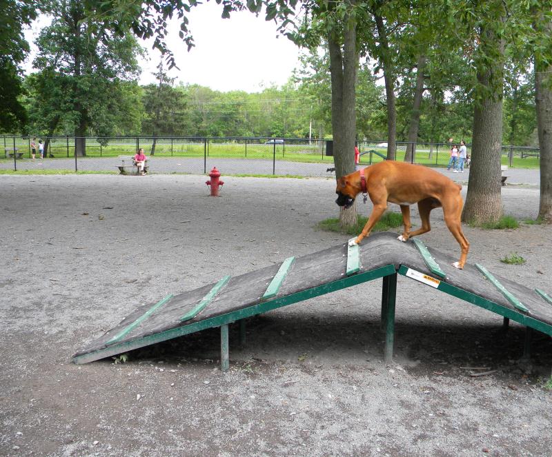 Wegman's Good Dog Park in Syracuse, Jamesville Park, Google Earth