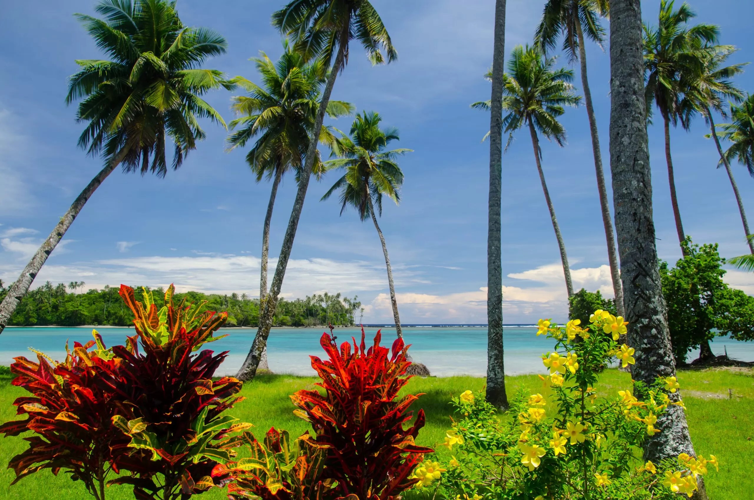 Uncover the Beauty of American Samoa 🇦🇸 Pristine Beaches 🏖️, Lush