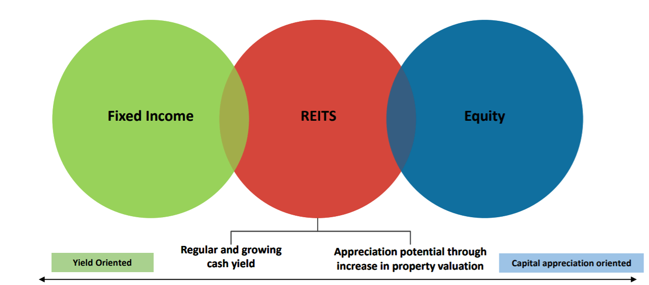 Best REIT Mutual Funds in India Random Dimes