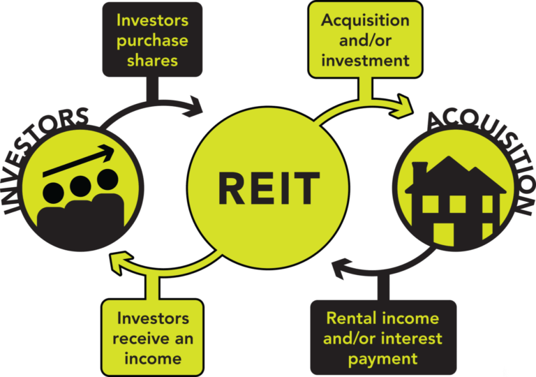 REIT Investments in India Random Dimes