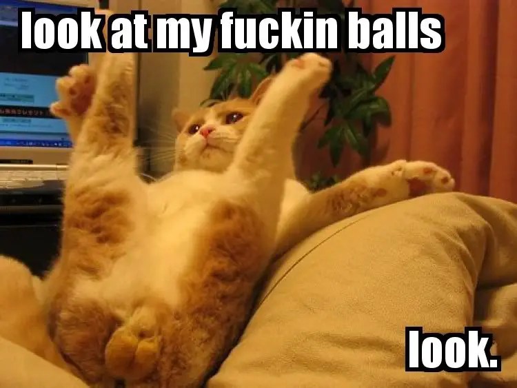 balls Random Funny Picture Funny Pictures Funny Pics Crazy