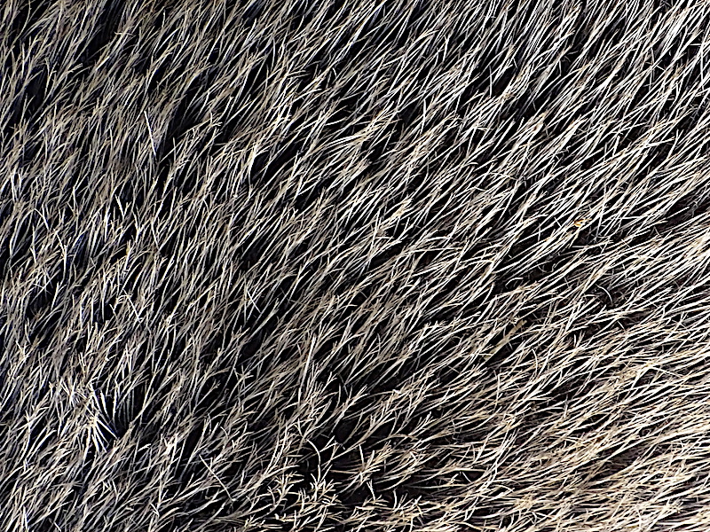 Prämisse Hochzeit Fang flauschiger teppich rätsel Lanthan vorsichtig