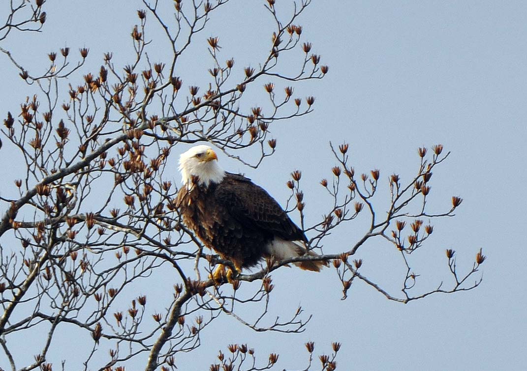 Great Fall Morning! Random Thoughts and Photos