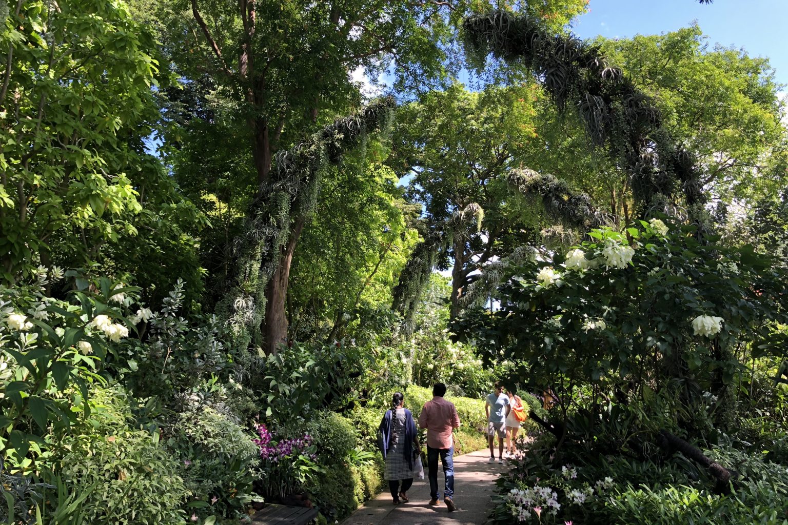 A Week in Singapore Visiting Hawker Centres, Singapore Botanic