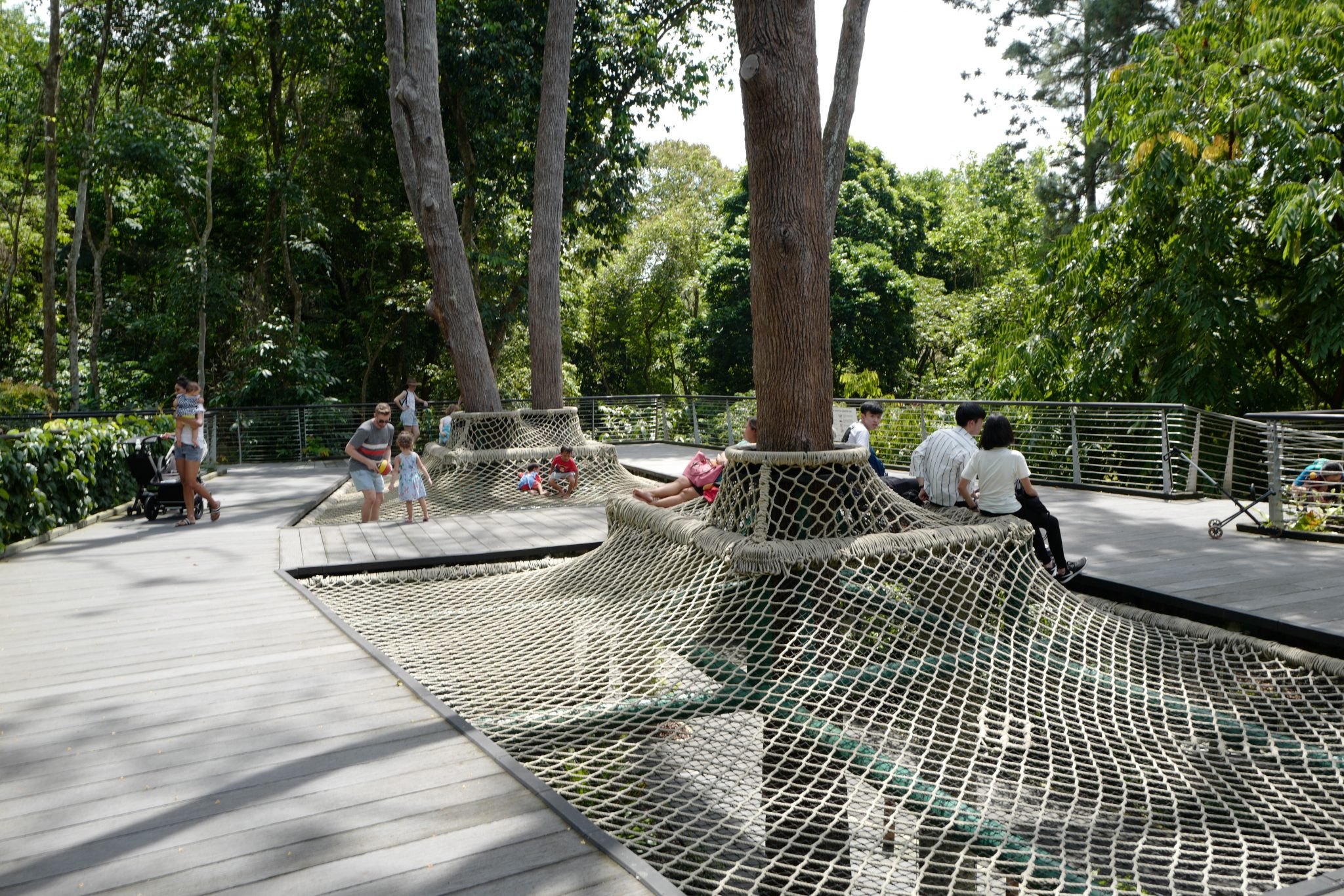 A Week in Singapore Visiting Hawker Centres, Singapore Botanic