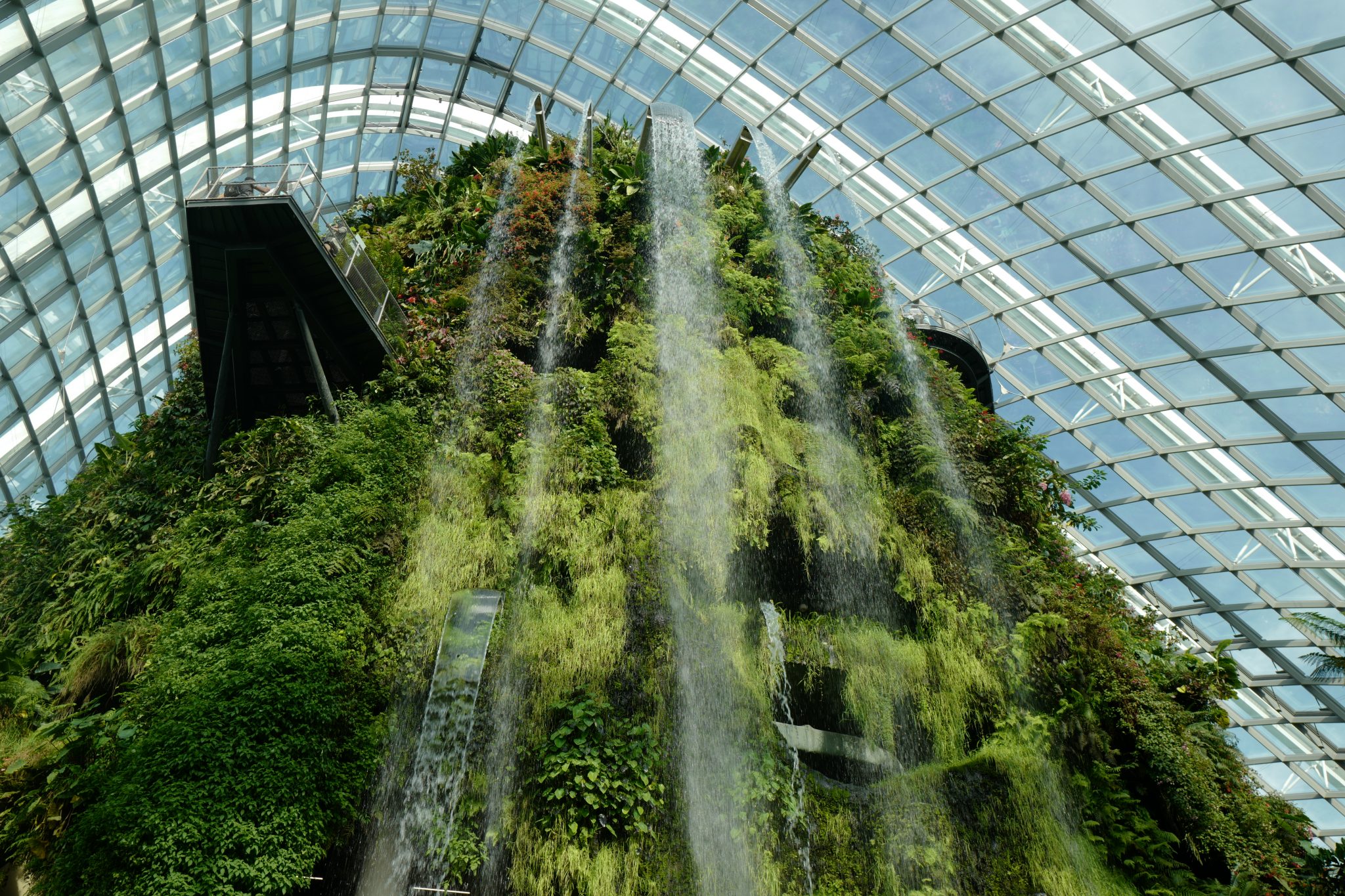 A Week in Singapore Visiting Hawker Centres, Singapore Botanic