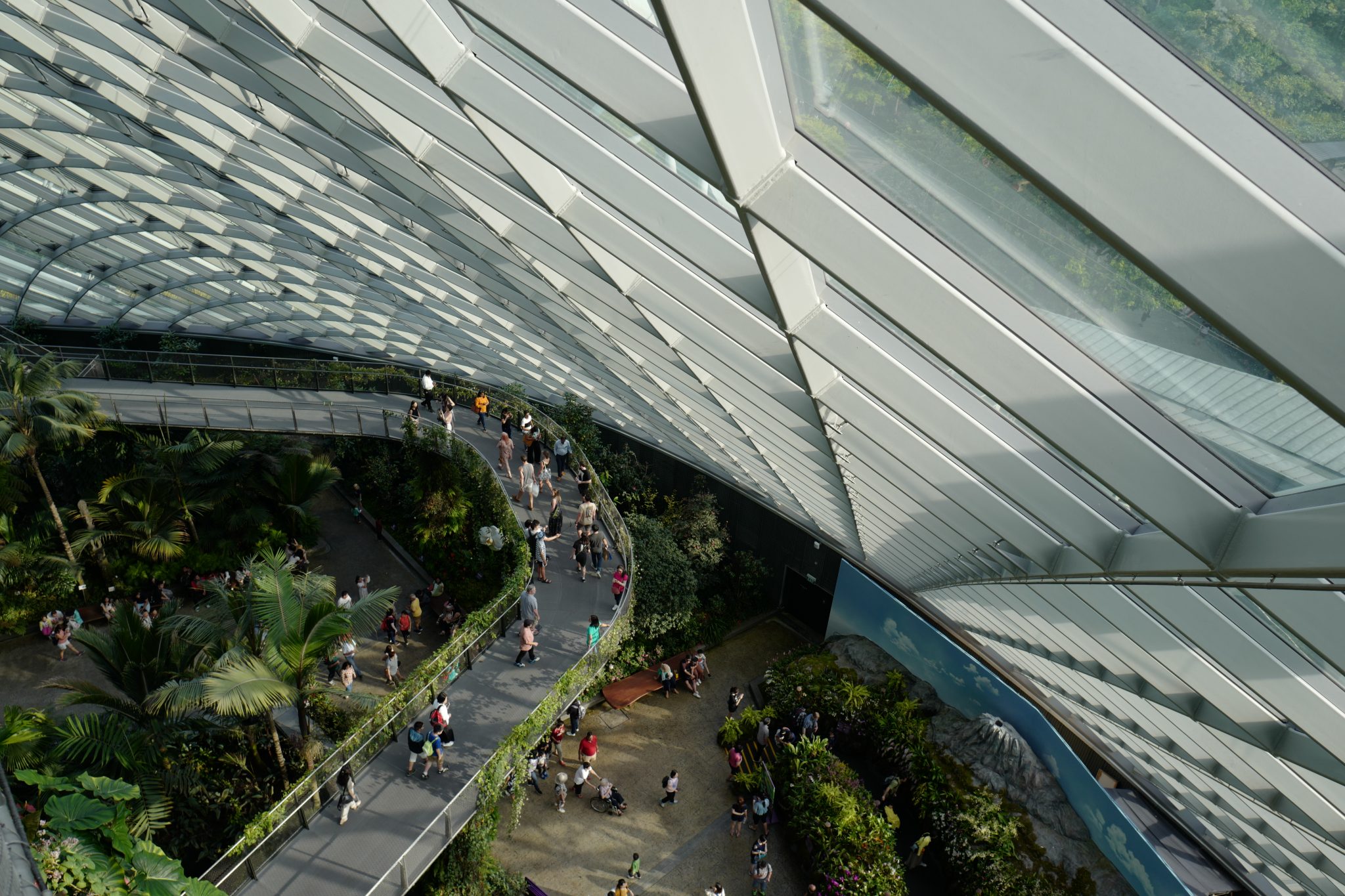 A Week in Singapore Visiting Hawker Centres, Singapore Botanic