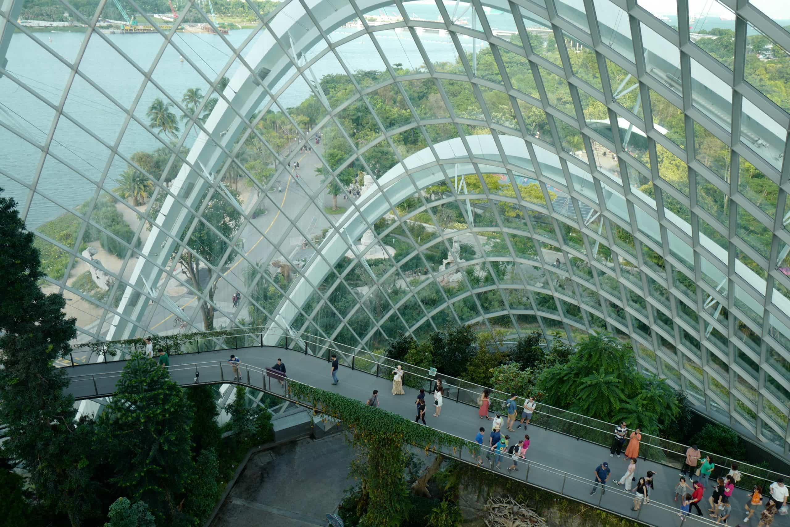 A Week in Singapore Visiting Hawker Centres, Singapore Botanic