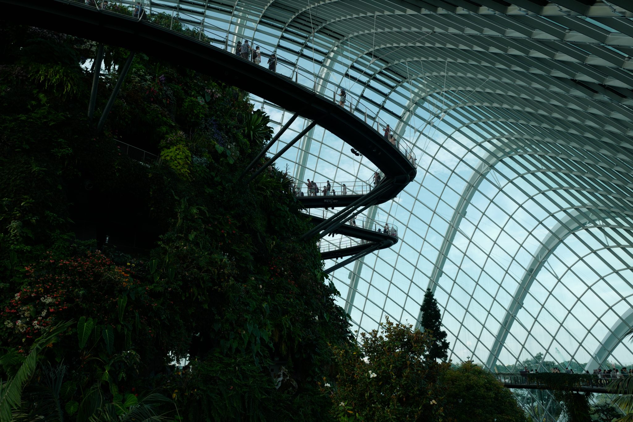 A Week in Singapore Visiting Hawker Centres, Singapore Botanic