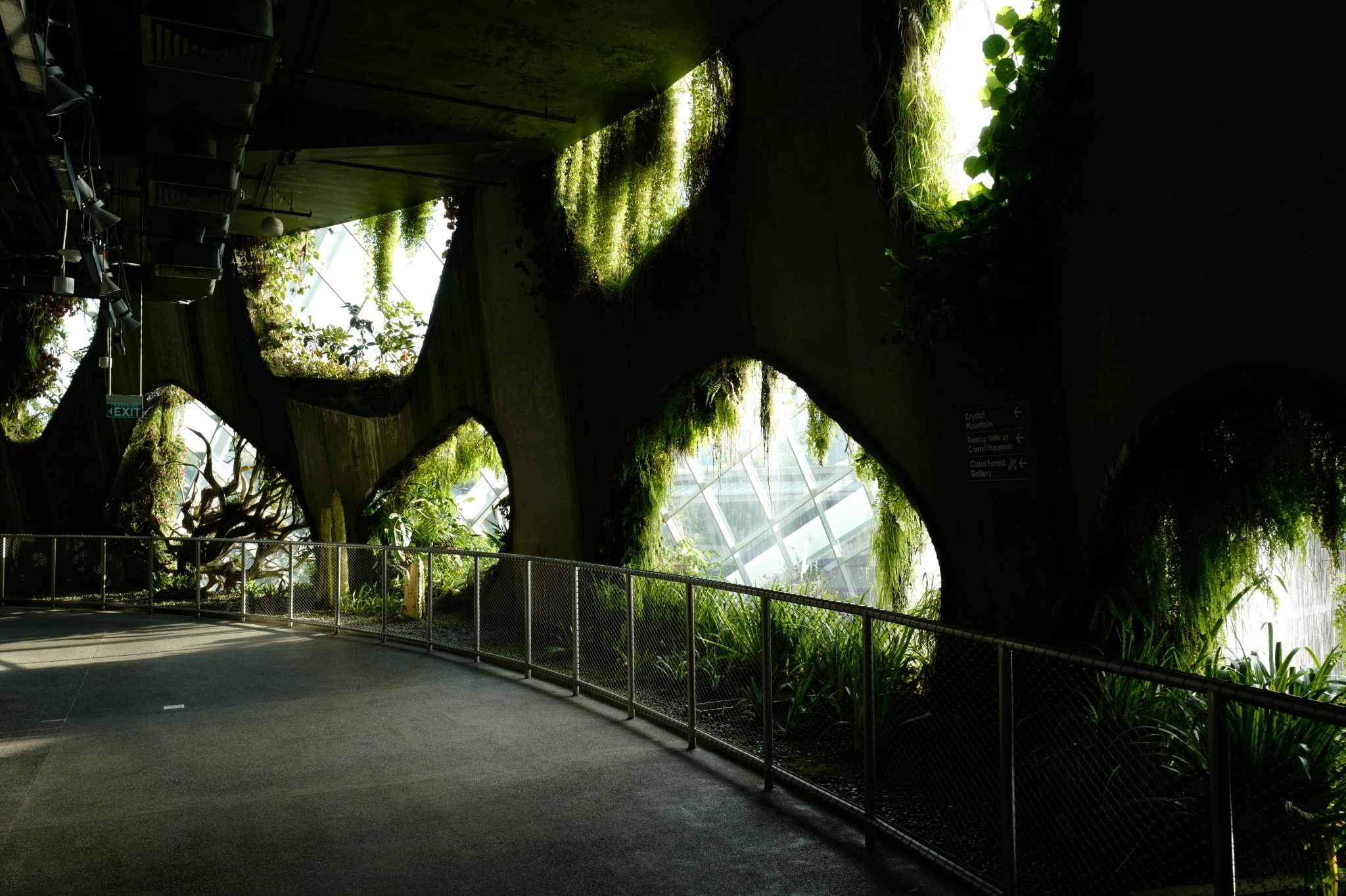 A Week in Singapore Visiting Hawker Centres, Singapore Botanic